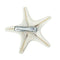 Natural Sea Star Girl Hair Stick Pins Lady Hair Clip Clamp Head Accessories