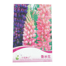 Beautiful Rainbow Frutti Lupine Flower Seeds Ornamental Flowers 99% Germinatisp