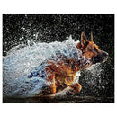 DIY Diamond Painting German Shepherd Dog 5D Diamond Embroidery Cross Stitch