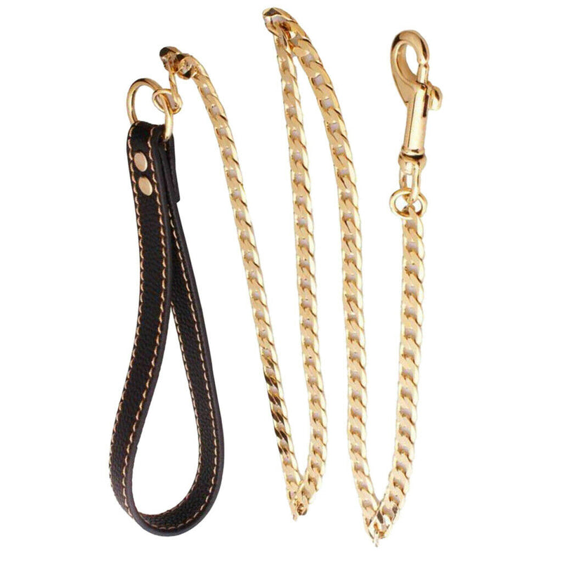 Durable Stainless Steel Dog Cat Dog Chain Leash for Dog Outdoor Training