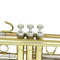 10pcs Cotton Felt Mats Trumpet Key Pad for Trumpet Trombone Repair Accessor