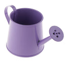 2pcs Pastoral Style Watering Can Flower Barrel Gardening Irrigation Tool