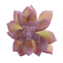 Artificial Succulent Vivid Flocking Plants Home Office Floral Decor Crafts