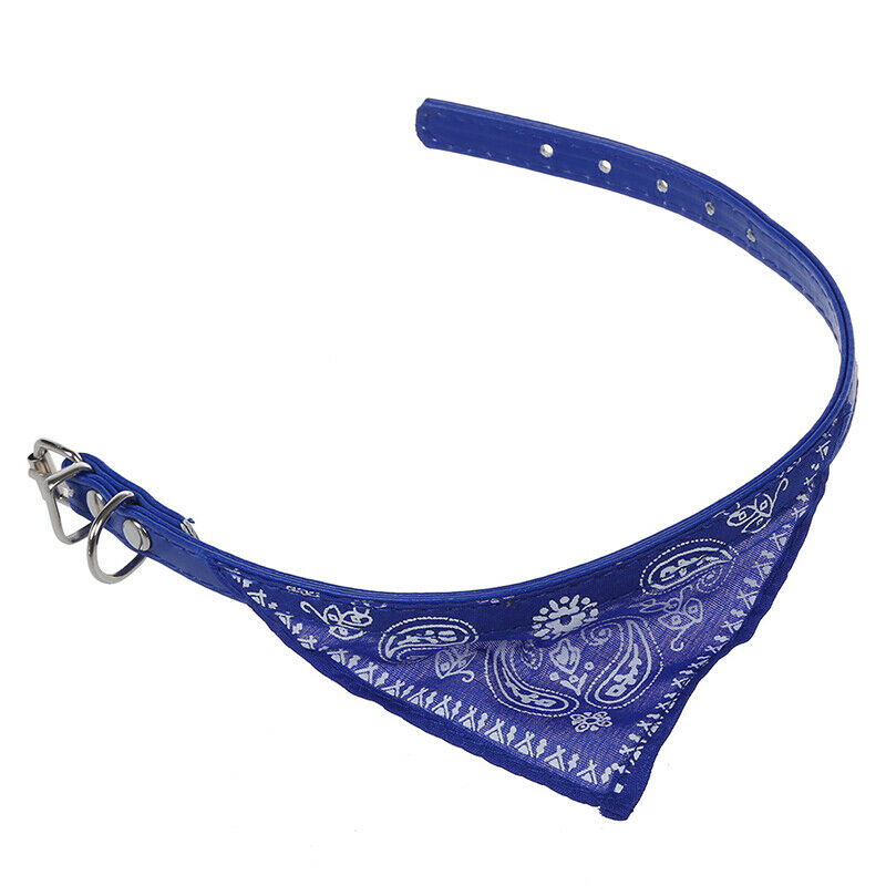 Dog Puppy Pet Bandana Scarf Paisley Pattern with Leather Collar Blue