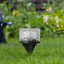 Outdoor Solar Power LED Buried Lamp Round Glass Ground Light (Cold White)