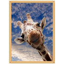 5D DIY Full Drill Diamond Painting Cross Stitch Embroidery (Giraffe-k565)