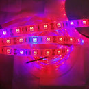 Grow Light Strip for Garden Small Plant Area Greenhouse Home Plant Flower