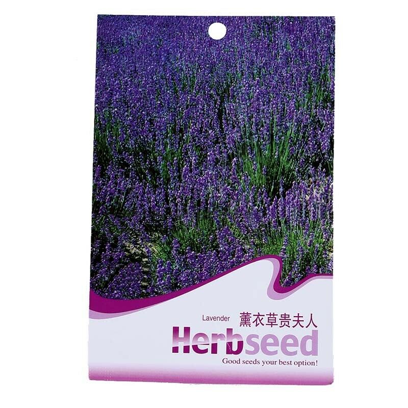 20pcs/bag Purple Lavender Seeds Fresh Flowers Seeds