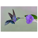 5D Bird Flower Diamond Painting Cross Stitch Embroidery Mosaic Picture