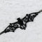 Bat Sunglasses Chains Lanyards Eyewear Accessories Reading Glasses Strap Rop Ew