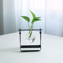 Hanging Flower Pot Vase With Black Metal Stand Single For Home Garden DecorA