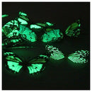 20pcs 10cm Artificial Butterfly Luminous Pin Clip for Home Christmas Weddin K8V3