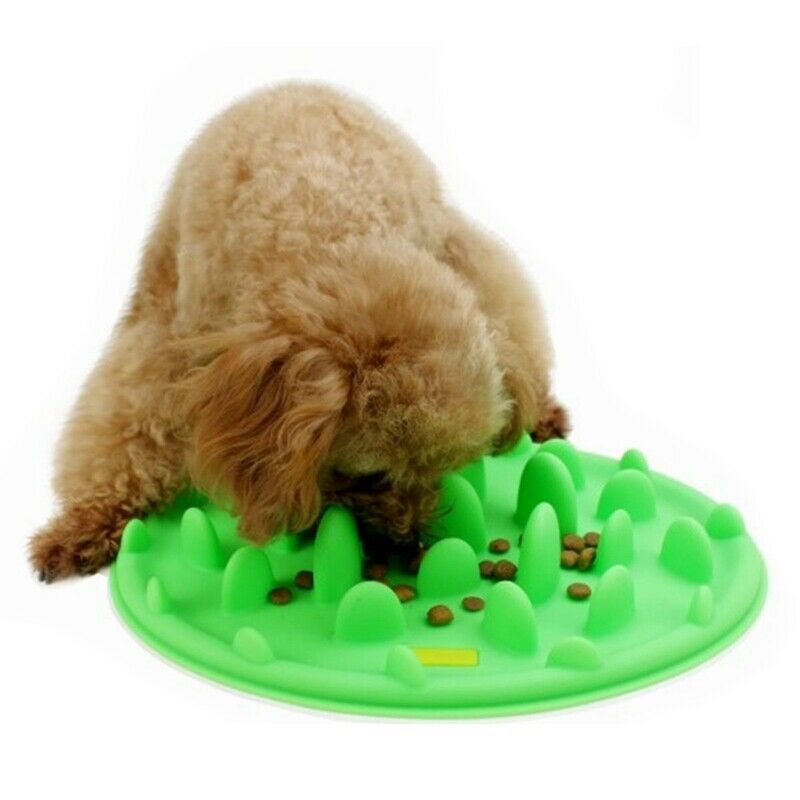 Pet Dog Cat Slow Feeder Anti Slip No Gulp Silicone Feeding Water Bowl Feed