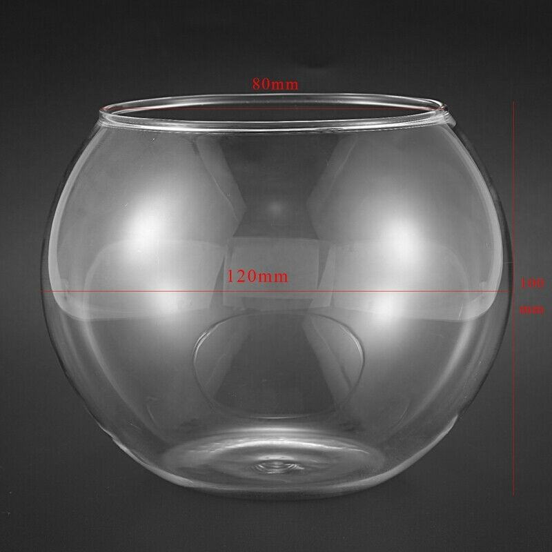 Round Sphere Vase in Transparent Glass Fish Tank I2P5