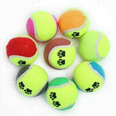 Tennis Ball Sports Tournament Outdoor Fun Cricket Beach Dog Game Gift