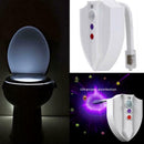 Bathroom Toilet Seat Light LED PIR Motion Sensor 8 Colors Toilet Night Lamp