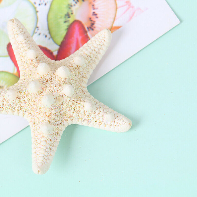 Fashion Lady Hair Clips Women Girls Starfish Sea Star Hairpins Beach Barrett Ew