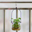 50 Pcs Metal Curtain Clip Wire Holder for Rope String Lights S Hook Clips