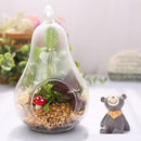 Hot Sell Home Decor Pear Crystal Vase Planter Terrarium Container Hydroponic Pot
