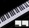 Keyboard Piano Multicolor Removable Piano and Keyboard Stickers for 49 61 76 N3C