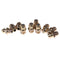 10PCS 1/4-28 Drive Type Taper Thread Straight Grease Zerk Nipple Fitting OHK
