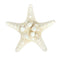 Natural Sea Star Girl Hair Stick Pins Lady Hair Clip Clamp Head Accessories #gib