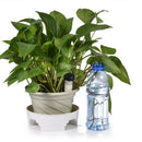 20-Pack Automatic Plant Watering System Devices, Slow Release Ceramic Mater
