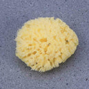 Baby rubbing bath ball Natural Honeycomb Bath Sea Sponge J8K4