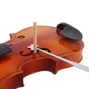 Violin Sound Post with Silvery Setter Frets Hook for Voilin Setting Tool