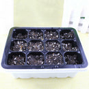3pcs 12 Holes Plastic Tray Flower Seedling Sprout Box Propagation Nurse EGW