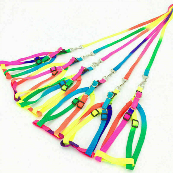 Small Pet Dog Puppy Cat Kitten Harness for Walking Lead Leash Collar Adju D C0V3