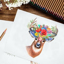 Professional 72 Colored Pencils Set Water Color Pencils with Brush Protecti