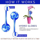 Hydro Globes Mini Automatic Watering Bulbs, 2 Piece Deluxe Set