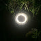 20 LED Solar Buried Lamp Waterproof Outdoor Garden Light (1pc Warm White)