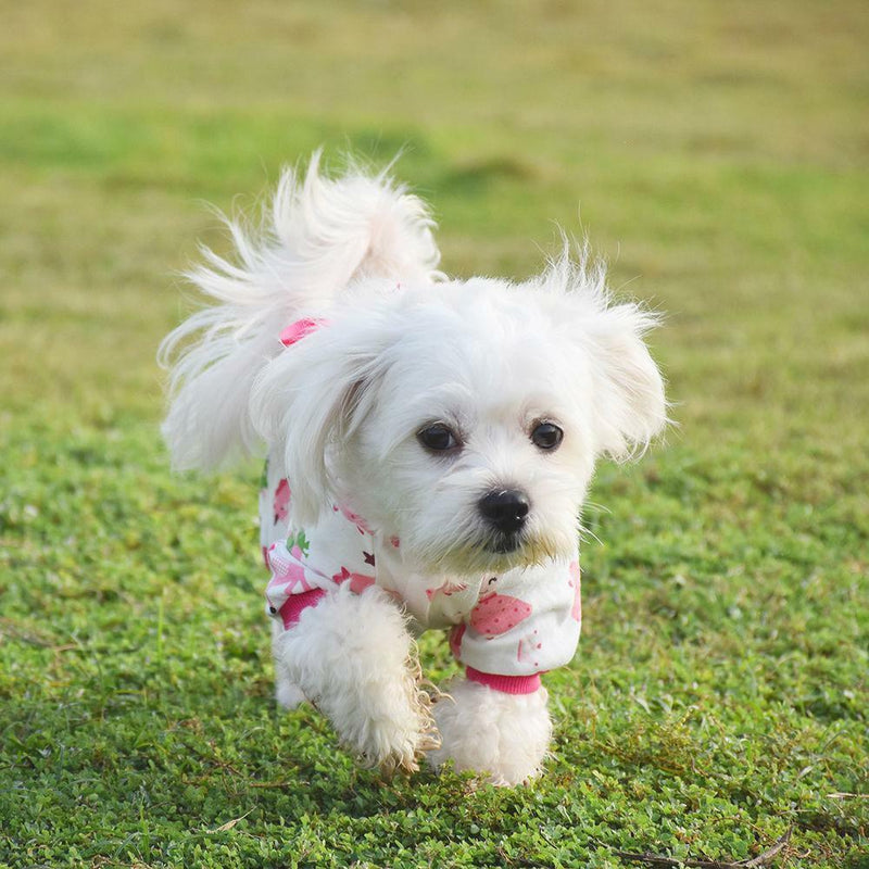 Dog Puppy Shirt Clothes Jumpsuit Pet Apparel Cat Pajamas Costume Pink S