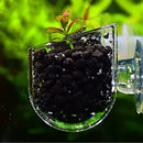 Clear Acrylic Pot Plant Cup Holder Red Shrimp Worm Aquarium Fish Tank Decor Cool