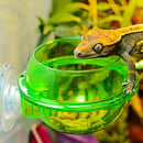 Home Pet Feeder Reptile Supplies Suction Cup Feeder Sucker Sucker Water DrinN7Z5