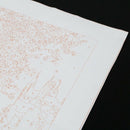 DIY Oil Painting Paint by Numbers Cherry Blossoms Park Drawing With Brushes D2W3