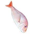 Fish shaped pencil bag pencil case box fish school pen case originality Sch M7P8