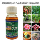 20ml Concentrate Gibberellic Acid Liquid 920 Growth Break Regulator C3B0