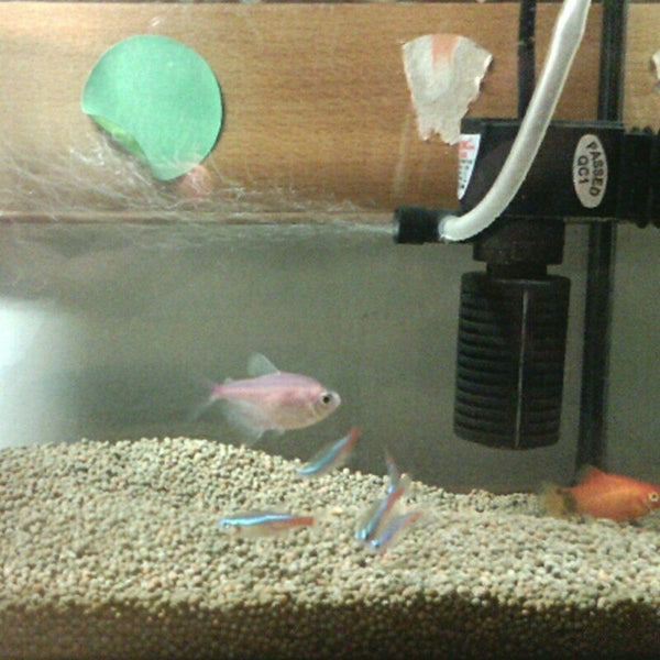 Tank Fish Aquarium Submersible Water Filter with For Oxygen Pump UV Ster FLG