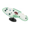 Paramecium Biological For Science Study Display Teaching  Education