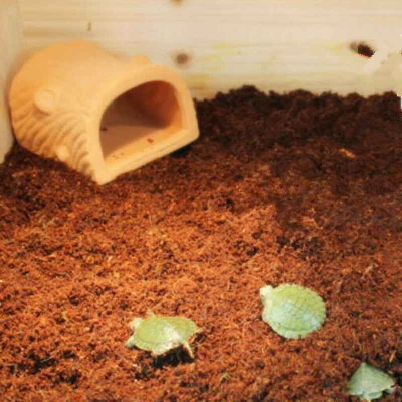 1 Pack Of Renewable Coconut Substrate Fits For Greenhouse & Plant Production
