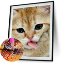 5D DIY Diamond Painting Full Drill Rhinestone Cat Cross Stitch Decor (T341)