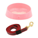 Durable Nylon Rope Dog Puppy Pet Training Leash with Clip for Collar Harness+Cat