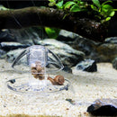 Acrylic Planaria Trap Snail Worm Catching Box Shrimp