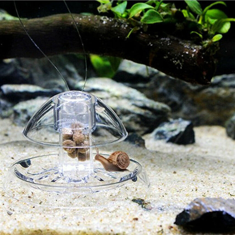 Acrylic Planaria Trap Snail Worm Catching Box Shrimp