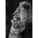 5D DIY Full Drill Diamond Painting Animal Tiger Cross Stitch Kits (K512)