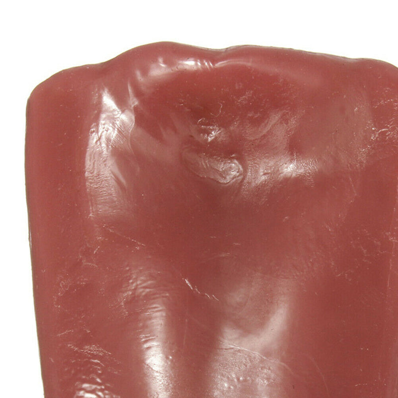 Realistic Tongue Gross Jokes Prank Magic Tricks Halloween Horrific Magician A