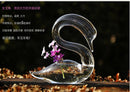 Pair Glass Swan Flower Hydroponic Vase Bottle Micro Landscape DIY Terrarium